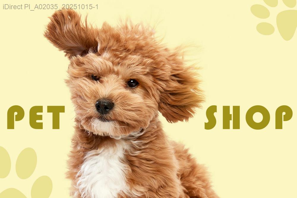 「寵物省錢大作戰！毛孩日常用品價格與保養比較全指南」示意圖